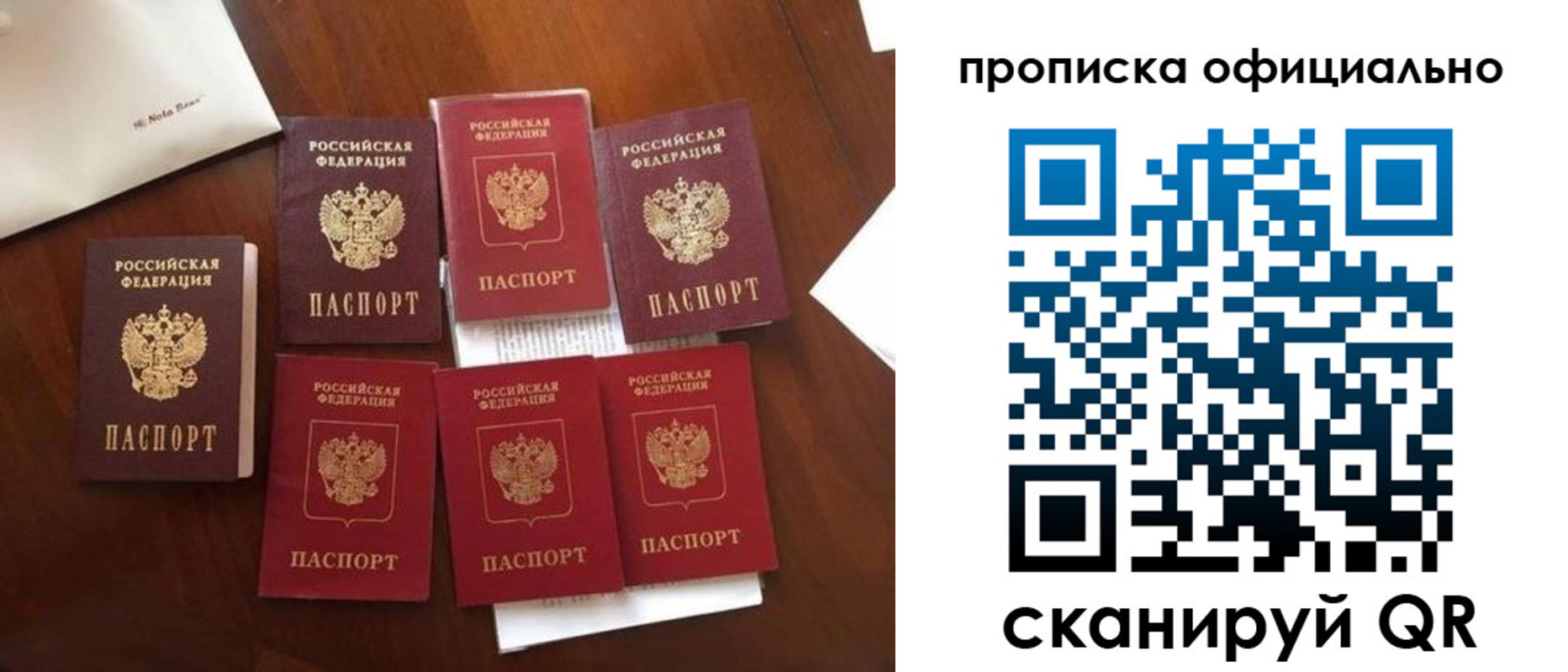 прописка законно в Шахунье